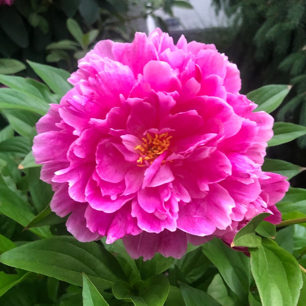 Meet your Posher, Autumn